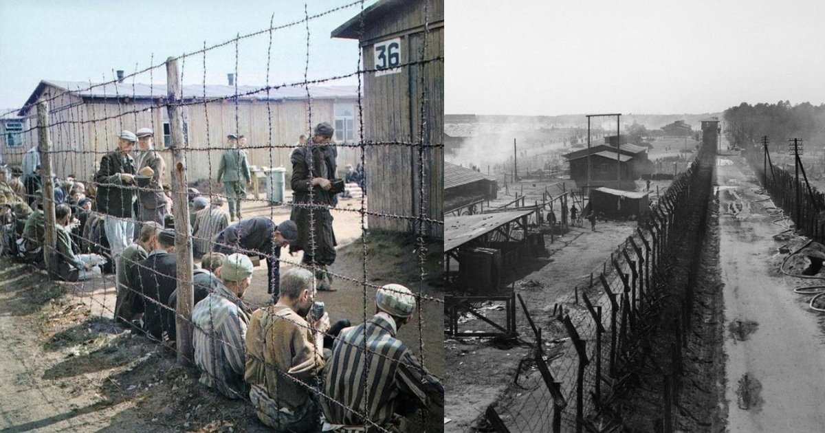 Historical Photos of Bergen-Belsen