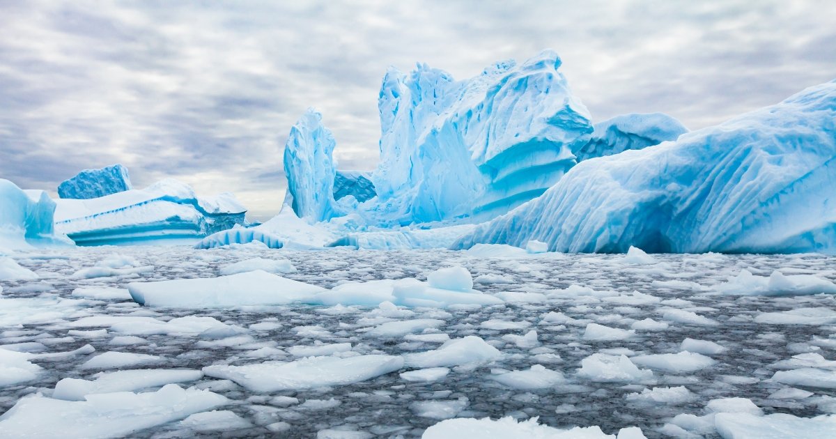 Iceberg Expedition with Terra Nova