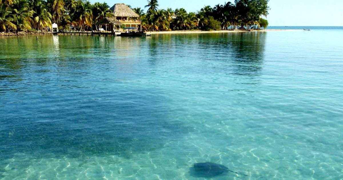 Pelican Beach, South Water Caye, Belize