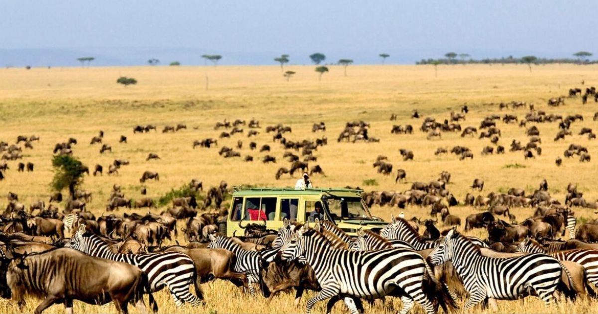 Serengeti National Park, Tanzania